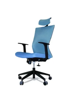 Ergonomic High Back Medical Chair with Adjustable Features