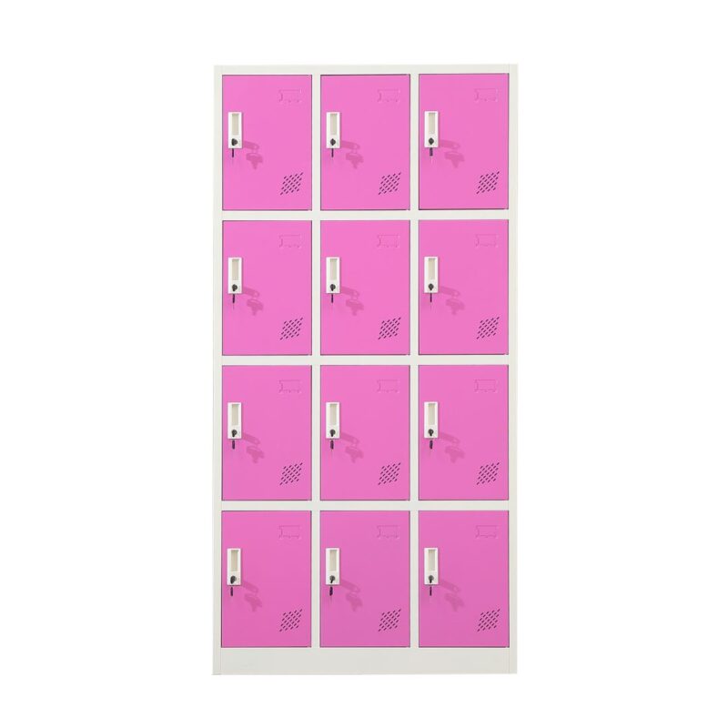 12 door metal locker in a corporate office in Riyadh, providing secure and space-efficient storage for multiple employees